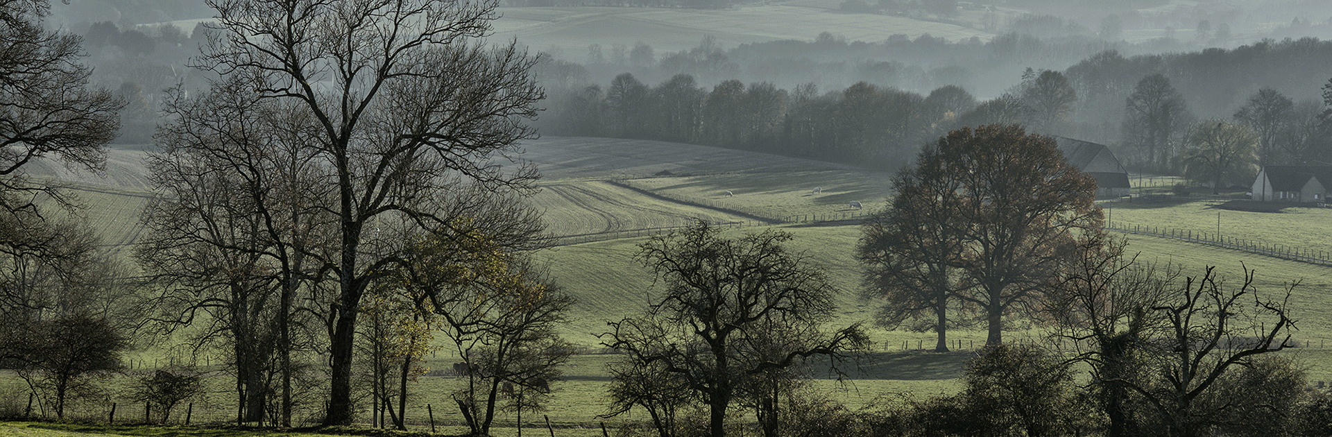 Crédit photo : Didier Leplat