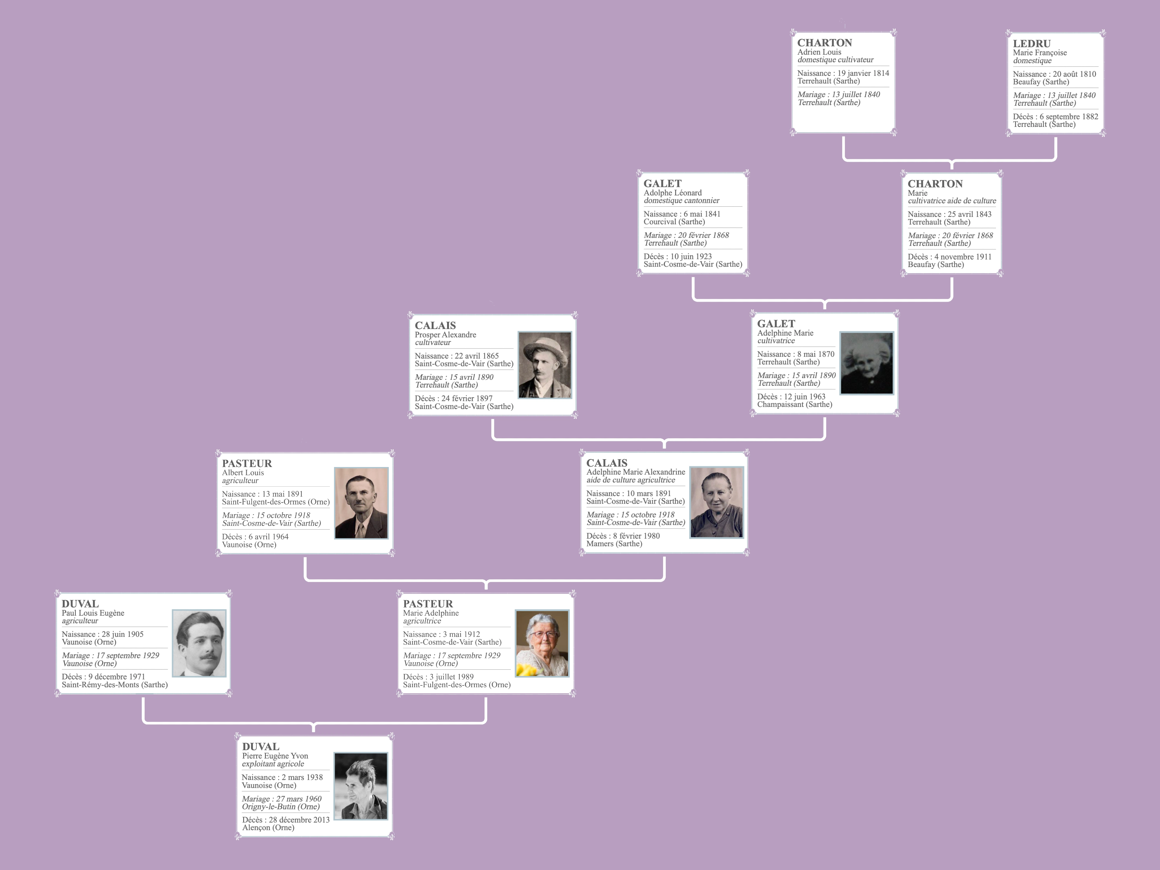 Arbre imprimé de la lignée paternelle ou maternelle